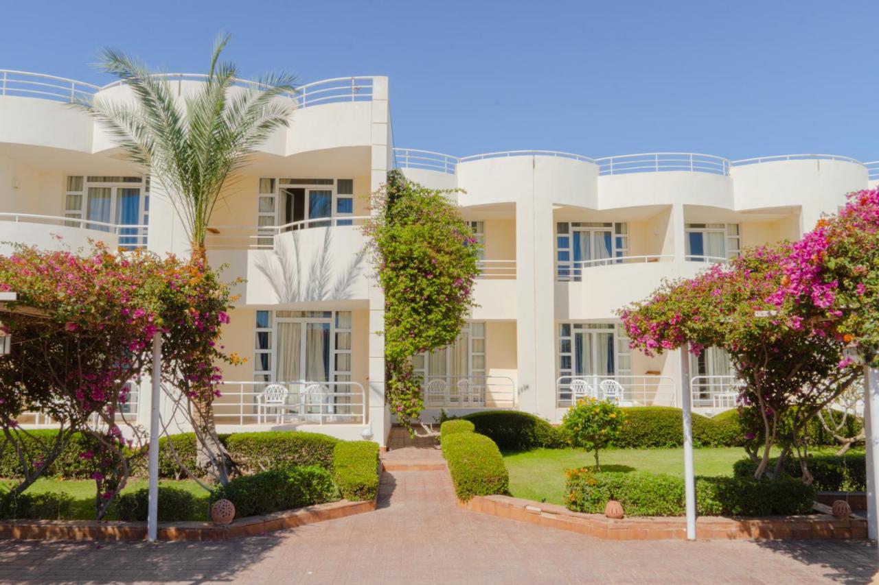Sharm Reef Hotel Exterior foto