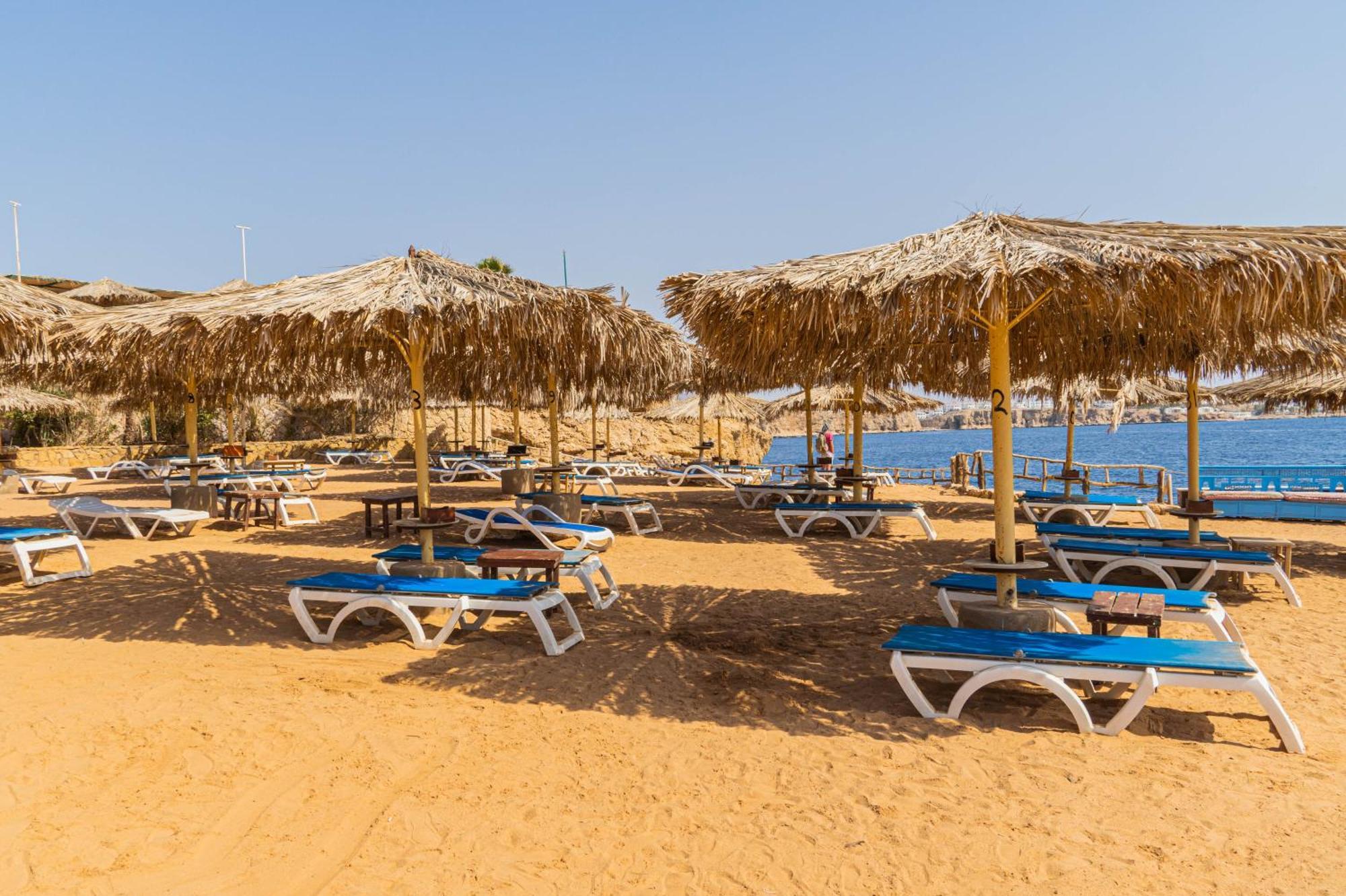 Sharm Reef Hotel Exterior foto